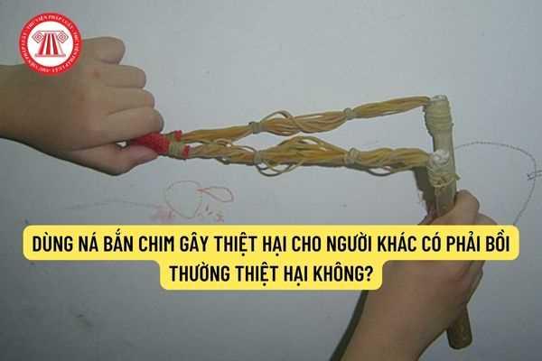 na-cao-su-gay-thuong-tich